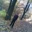 Bashway in the forrest